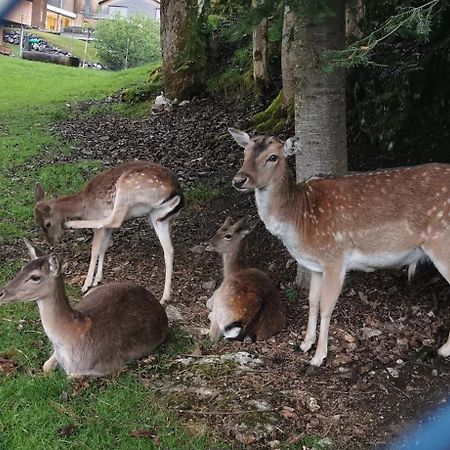 Ferienwohnung An Der Alten Saege Bezau Zewnętrze zdjęcie