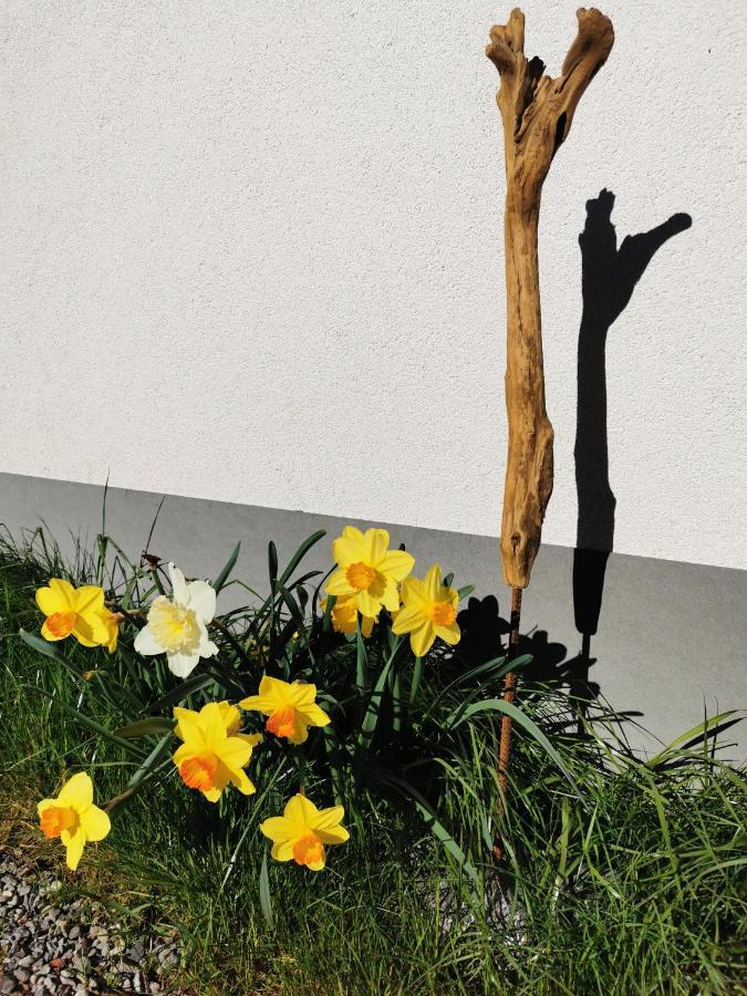 Ferienwohnung An Der Alten Saege Bezau Zewnętrze zdjęcie